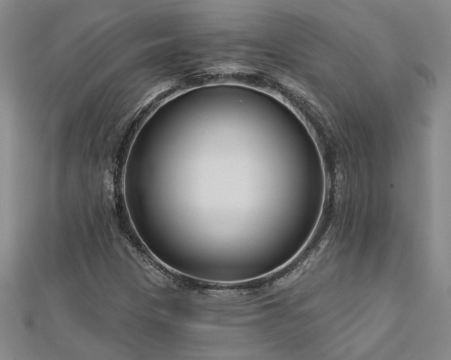 X0000113001305200908271338
