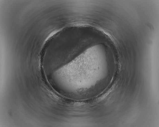 X0000113001306200908271338