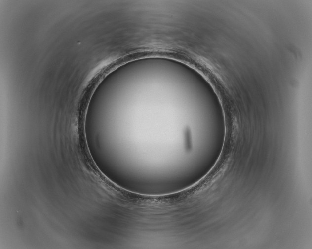 X0000113001307200908271338