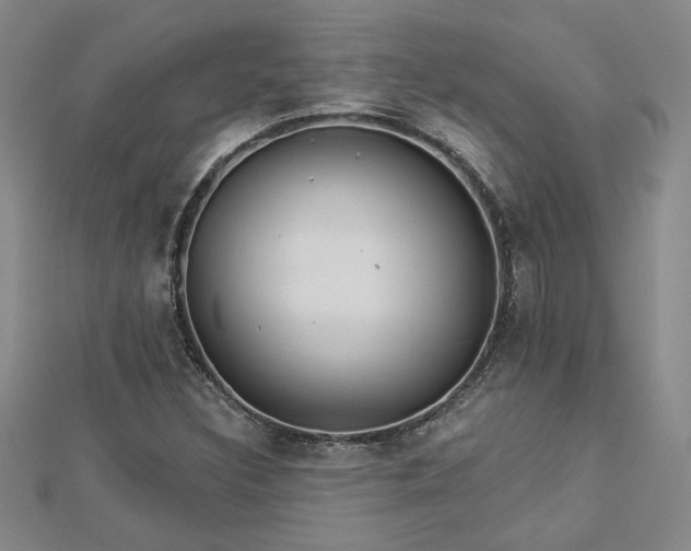 X0000113001308200908271338