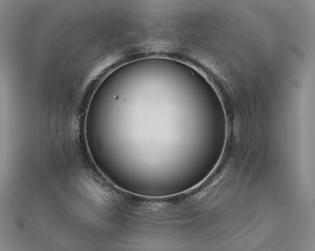 X0000113001309200908271338