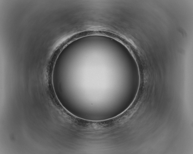 X0000113001311200908271338