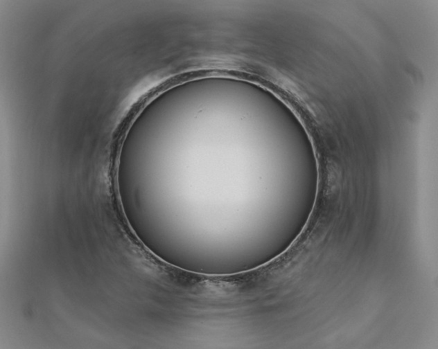 X0000113001312200908271338