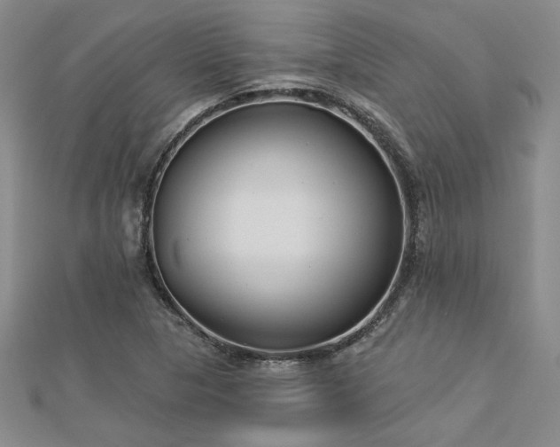 X0000113001313200908271338