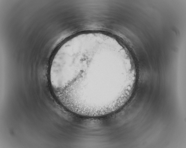 X0000113001314200908271339