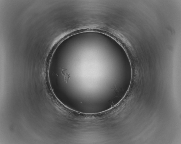 X0000113001316200908271339