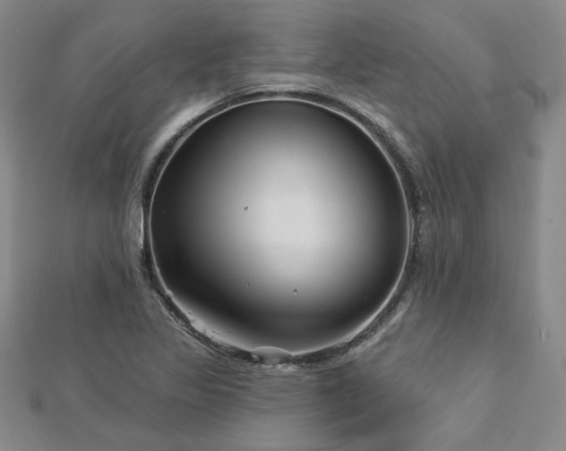 X0000113001317200908271339