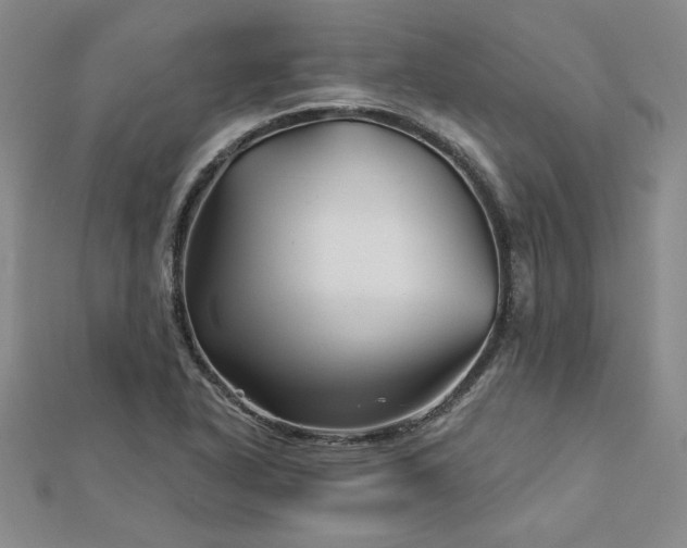 X0000113001318200908271339
