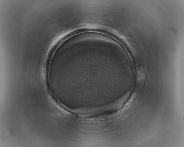 X0000113001319200908271339
