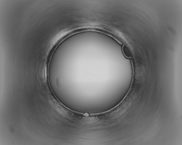 X0000113001320200908271339