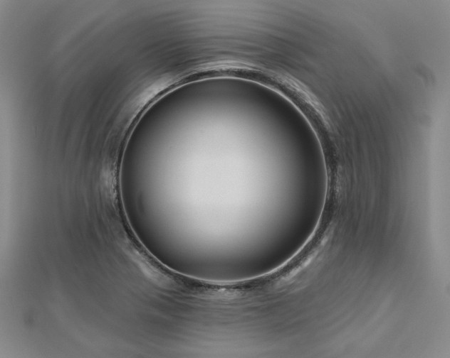 X0000113001321200908271339