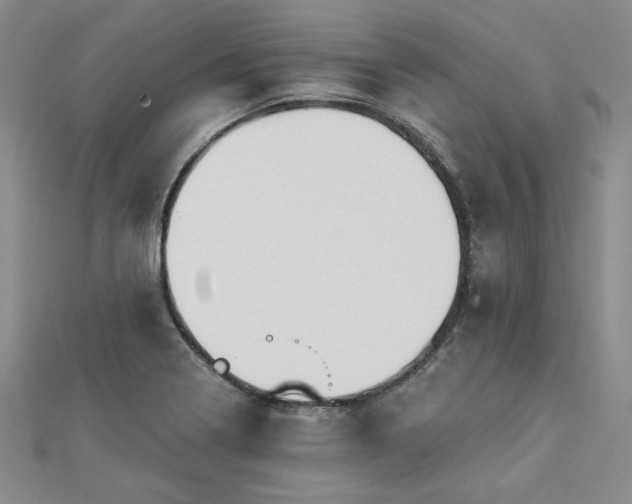 X0000113001322200908271339