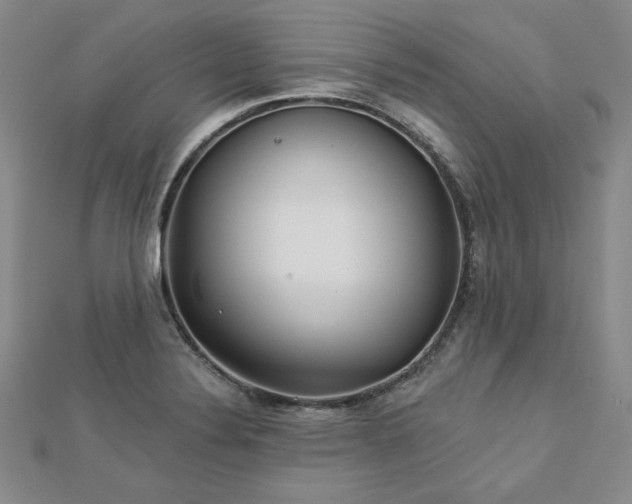 X0000113001324200908271339