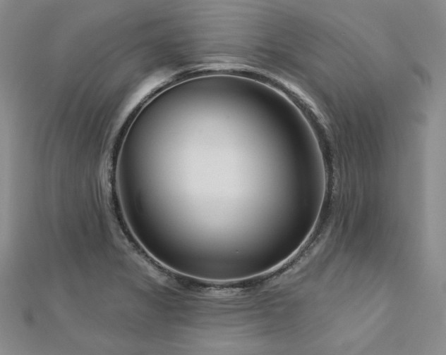 X0000113001325200908271339