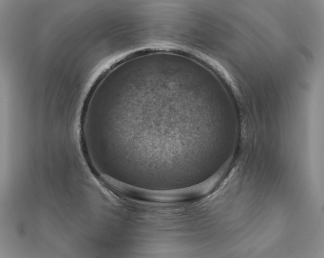 X0000113001327200908271339