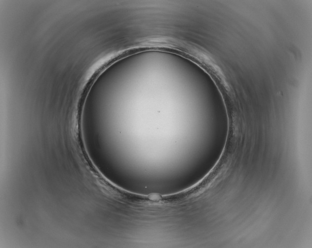 X0000113001328200908271339