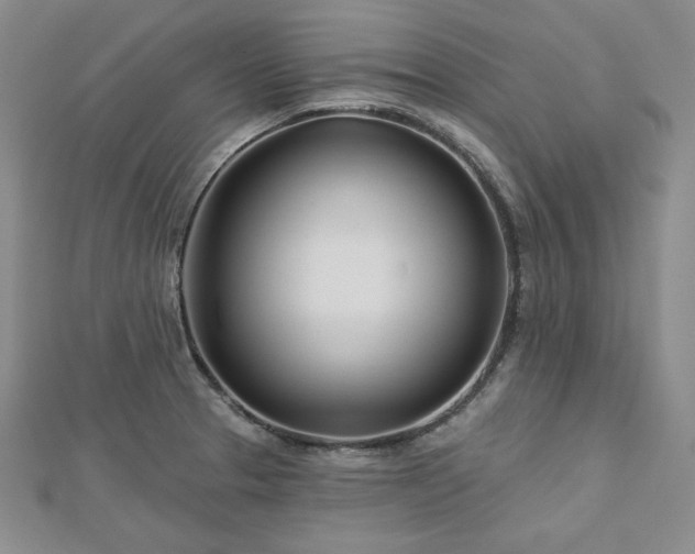 X0000113001329200908271339