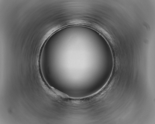 X0000113001330200908271339
