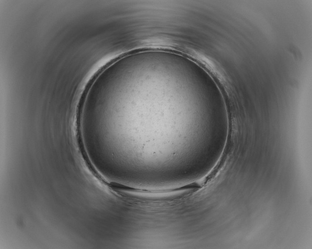X0000113001331200908271339