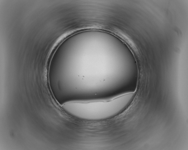 X0000113001332200908271339