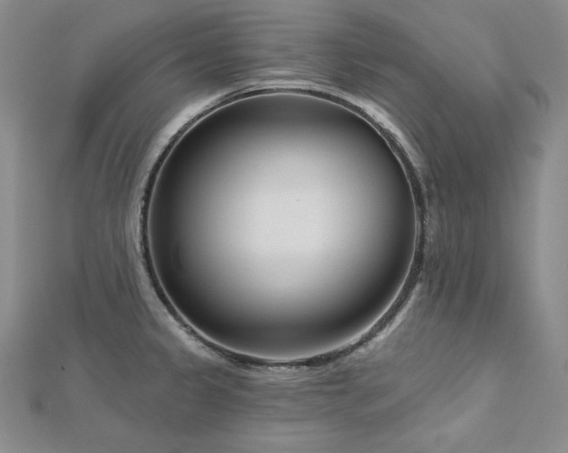 X0000113001333200908271339