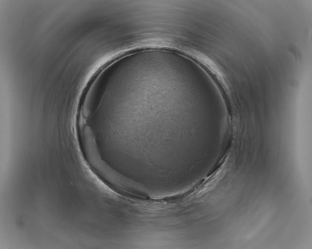 X0000113001334200908271339