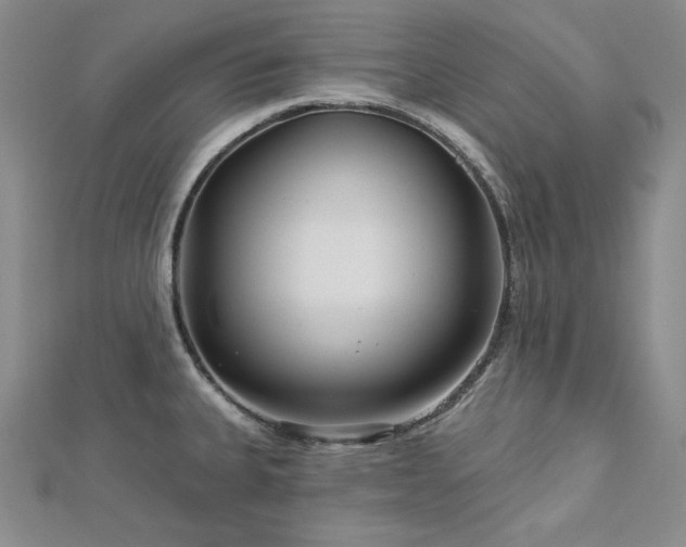 X0000113001335200908271339