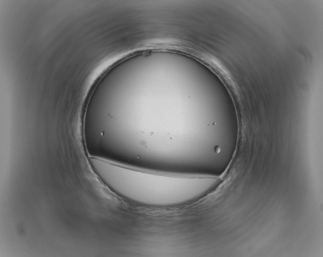 X0000113001336200908271339