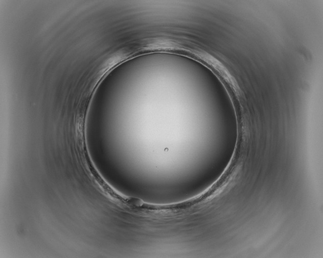 X0000113001337200908271339
