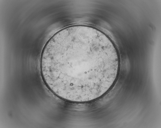 X0000113001338200908271339