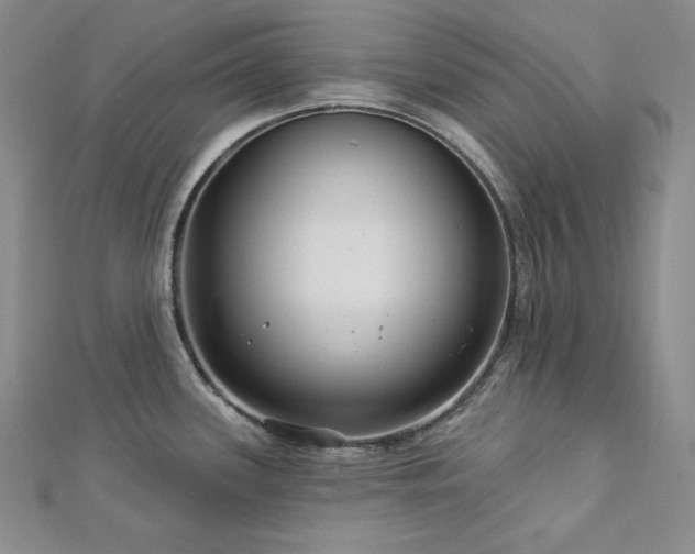 X0000113001339200908271339