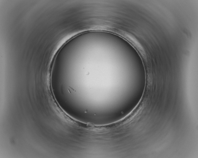 X0000113001340200908271339