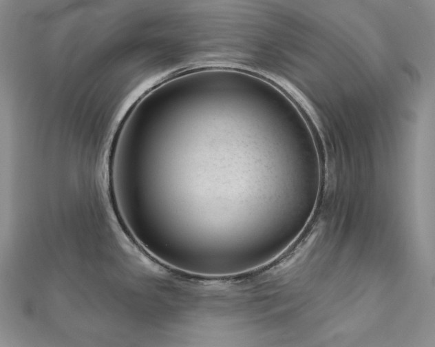 X0000113001341200908271339