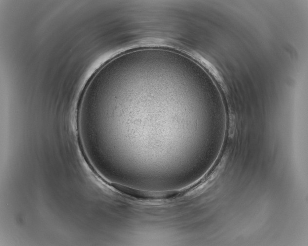 X0000113001342200908271339