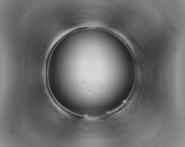 X0000113001343200908271339