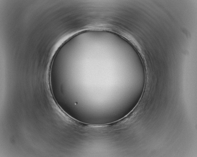 X0000113001344200908271339