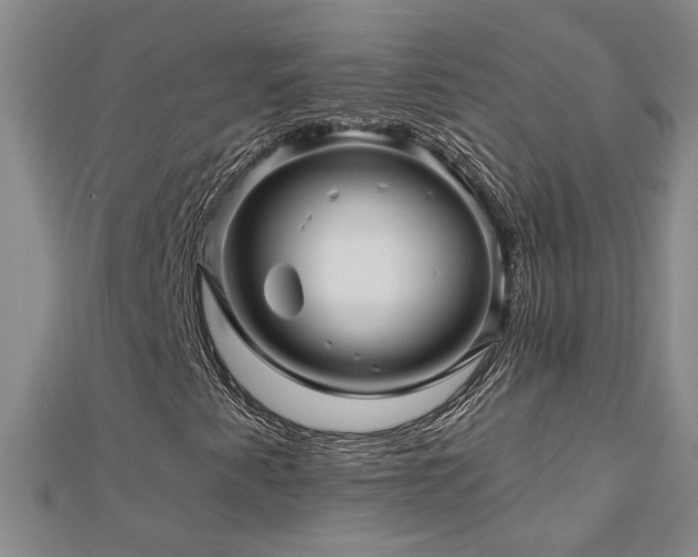 X0000113001345200908271338