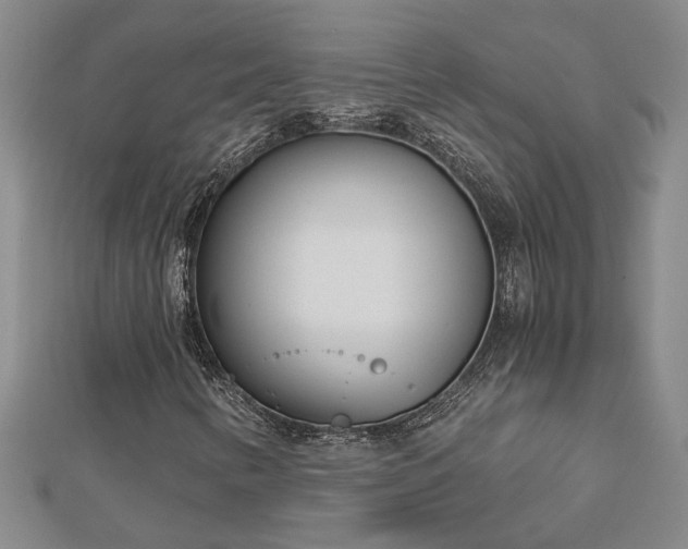 X0000113001346200908271338