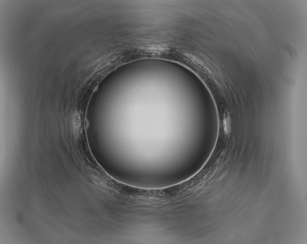 X0000113001347200908271338
