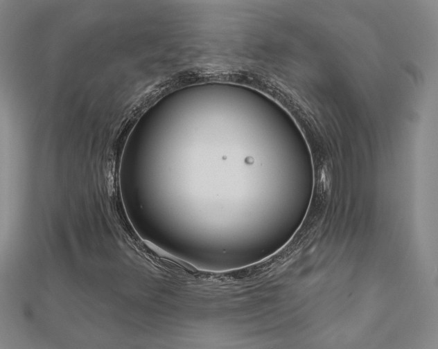 X0000113001348200908271338