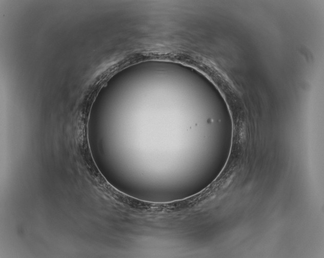 X0000113001350200908271338