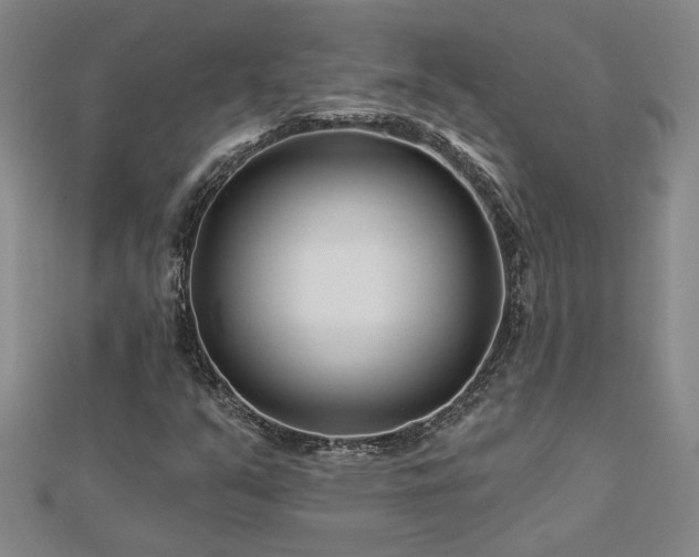 X0000113001351200908271338