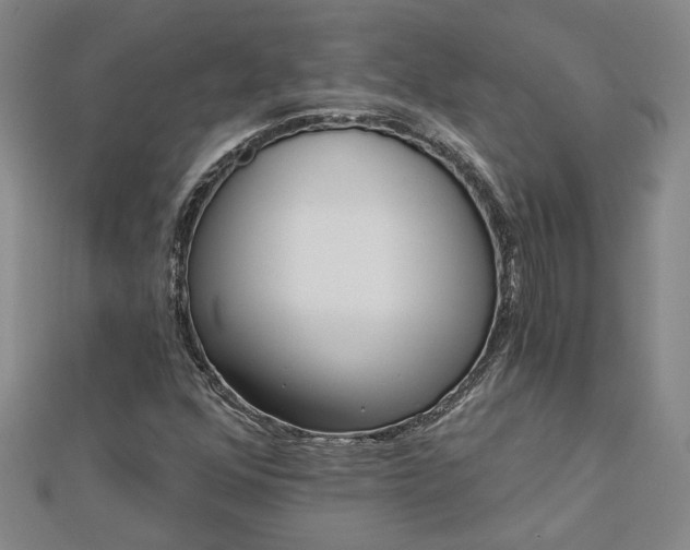X0000113001352200908271338