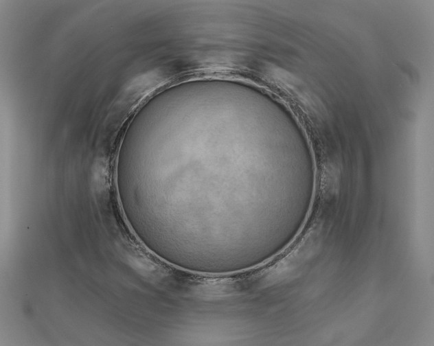 X0000113001353200908271338