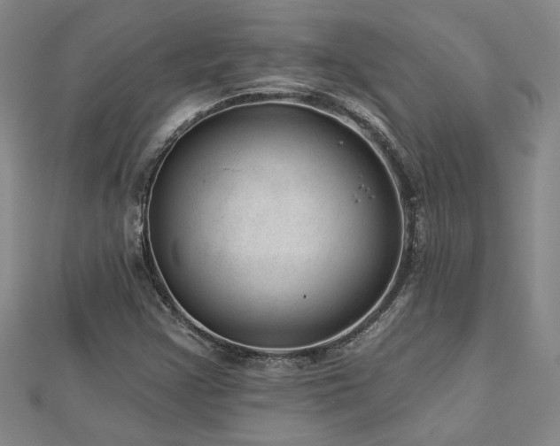 X0000113001355200908271338