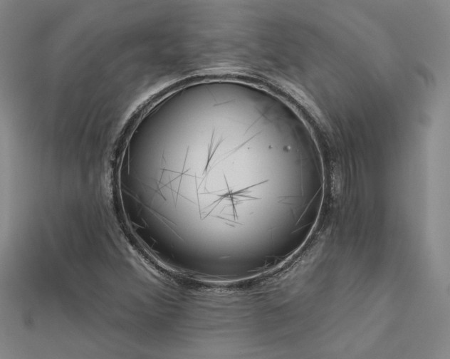 X0000113001356200908271338