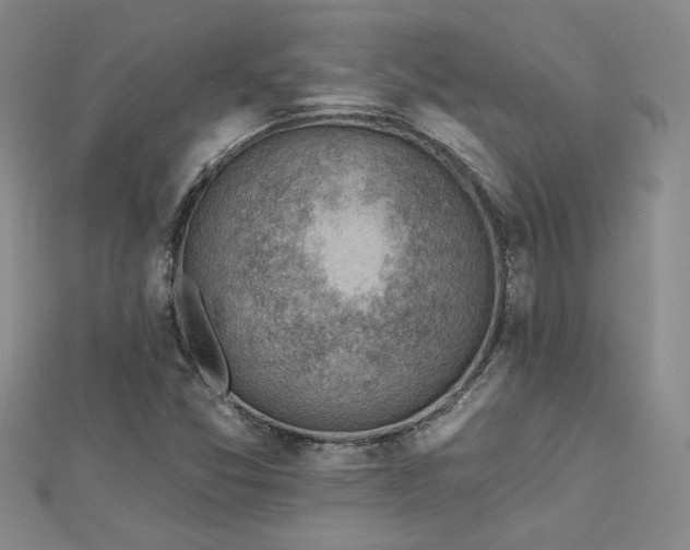 X0000113001357200908271338