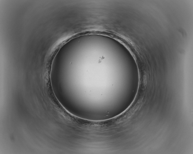 X0000113001359200908271338