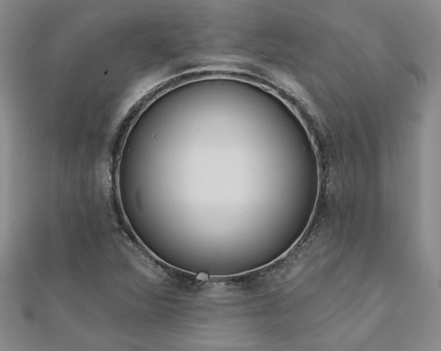 X0000113001360200908271338