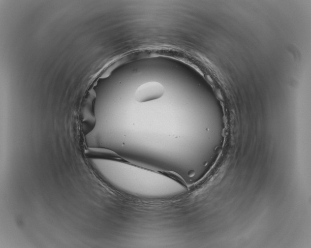 X0000113001361200908271338